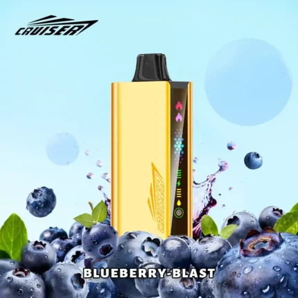 Blueberry Blast | JNR Cruiser Gold Disposable Vape